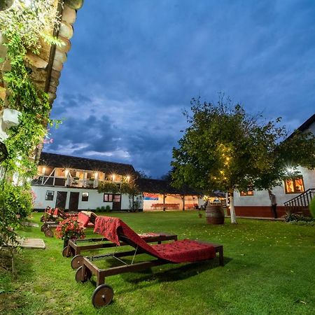 Domacinstvo Cikic Zasavica Guest House Ngoại thất bức ảnh