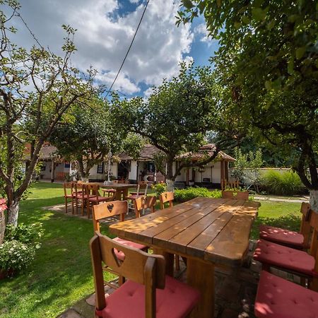 Domacinstvo Cikic Zasavica Guest House Ngoại thất bức ảnh