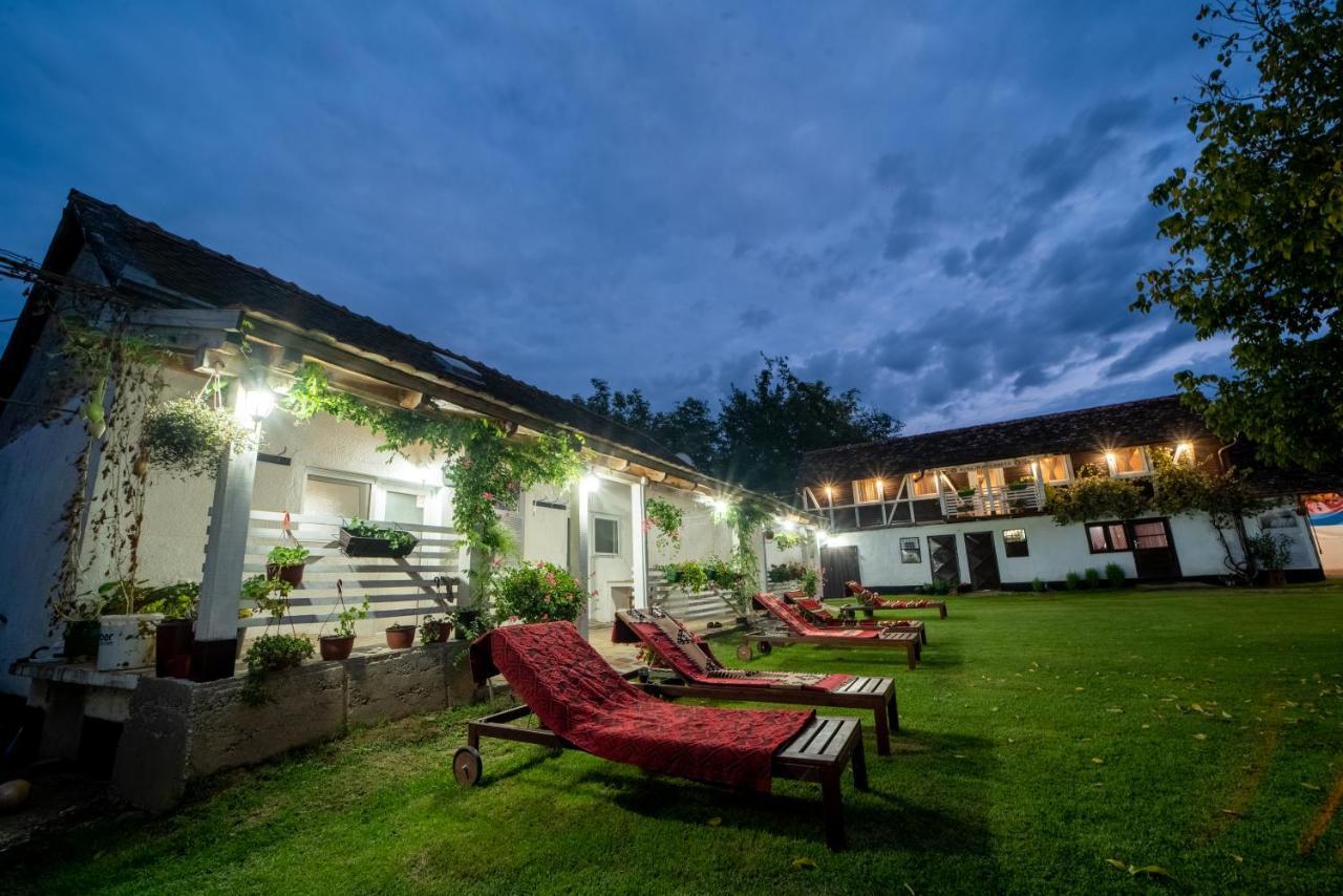 Domacinstvo Cikic Zasavica Guest House Ngoại thất bức ảnh